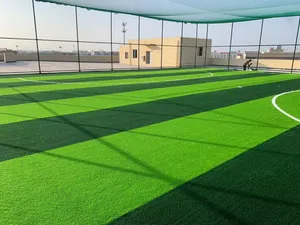 Cỏ nhân tạo chất lượng cao, giá rẻ, chống thấm nước dùng cho sân bóng đá ngoài trời - Product Image 2
