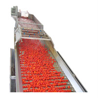 Fabriek Shanghai Turnkey Project Compleet Fruit Jam Chill Saus Maken Machine Ketchup Tomatenpuree Productielijn