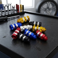 Couvercle anti-poussière de roue, enveloppe en métal coloré 1 pièce, capuchon de tige de Valve de pneu à balles noires