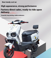 Nouveauté 2026 : Moto électrique 1000W, Vélo électrique puissant pour adultes, Moteur roue arrière, Idéal pour la livraison et la course tout-terrain