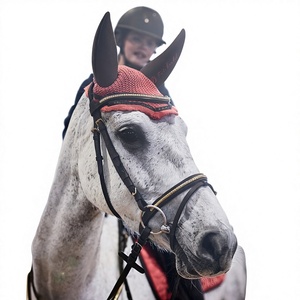 Bandeau pour cheval en feutre non tissé rouge avec bordure noire et accents couleur laiton pour usage équestre - Product Image 1