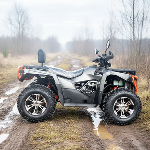 Motocicleta de Cuatro Ruedas con Transmisión Automática y Eje de Transmisión de 4 Tiempos y 200 cc, Raptor, ATV de Dos Ruedas - Product Image 5