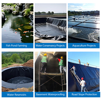 DIYU Vente en gros Géomembrane EPDM 2mm pour bassin, réservoir à poissons, étanchéité, barrage extérieur, dépose d'ordures, durable, écologique, aquaculture moderne