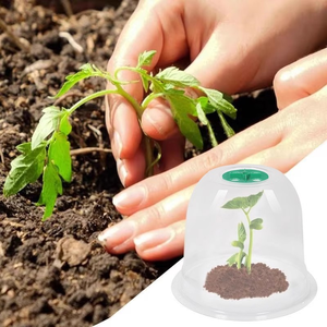 Cúpula Transparente Alta para Plantas con Ventilación Ajustable, Cubierta Protectora Grande para Plántulas <span class=keywords><strong>de</strong></span> Vegetales, Frutas y Flores - Product Image 5