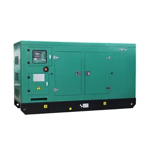 AC Three Phase 400V 200KW/250KVA Power Energy Saving Silent Canopy Genset Diesel Generator