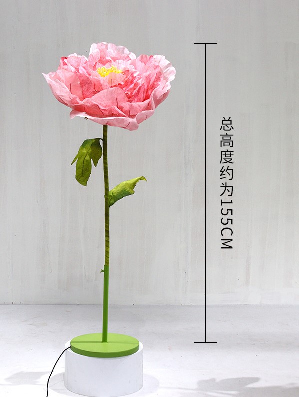 How to Choose the Best Moving Blooming Flower for Your Space