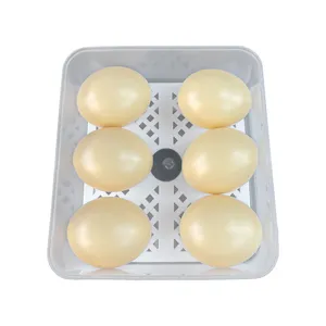 2024 high quality CE Approved Farm Retail Home Use 6 Egg Incubator For Sale