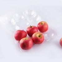Groothandel 6-delige appelvormige fruitcontainers PET wegwerpbaar plastic transparante fruitpunnet appelverpakkingsdoos