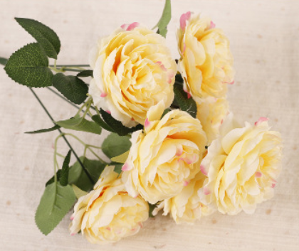 สีเหลือง