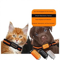 Traceur GPS intelligent BeiDou avec alarme mobile pour animaux de compagnie, localisateur 4G, collier étanche, autonomie de 30 jours pour chiens de taille moyenne à grande, chasse