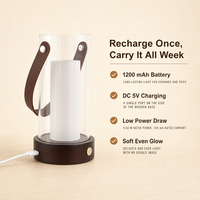 Lampe de poche portable, veilleuse avec poignée en cuir, rechargeable, base en acrylique 3 couleurs, LED pour une décoration moderne et créative de la maison