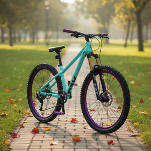 <span class=keywords><strong>Vélo</strong></span> de montagne 26/29 pouces à 10 vitesses, <span class=keywords><strong>prix</strong></span> d'usine, pour homme et femme, idéal pour le VTT, le dirt jump, les cascades et le descente - Product Image 1