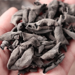 Auricularia Polytricha Rich en fibres, Fusion Asiatique Bistro, Conforme HACCP, Vente en gros en vrac - Product Image 4