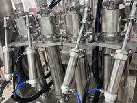 Machine de remplissage et de bouchage de liquides de la série LTXG-Eco pour ligne d'embouteillage de liquides cosmétiques et de boissons