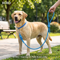 Laisse pour chien en polyester colorée et simple, robuste, durable, en corde tressée, pour l'entraînement