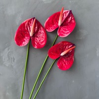 Mehrfarbiges Neues Design Großformatiges 15cm Realistisches Künstliches Anthurium Künstliche Flamingo-Lilie Einzelner Stiel für Heim Hochzeit Vasen-Dekoration