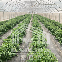 Enkelspannings PE-folie handmatige/elektrische ventilatie grote tropische landbouwkas voor fruitteelt