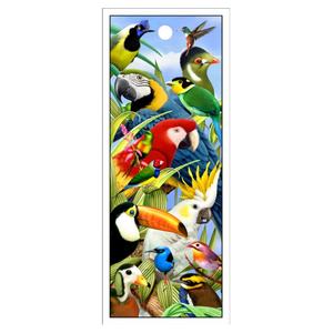 Segnalibro Animato 3D con Immagine di Uccelli Divertenti, Ecologico in Plastica, Stampa Offset, Cambio Immagine con Nappa, Prezzo di Fabbrica - Product Image 5