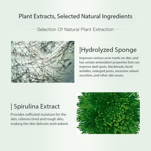 Peeling aux algues vertes 2026, peeling aux algues marines dans SKIN <span class=keywords><strong>MediSpa</strong></span> Medical Spa - Product Image 5