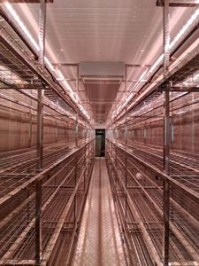 Personalización de fábrica Granja de contenedores de cultivo de hongos para ostras, Shiitake, botón - Product Image 6