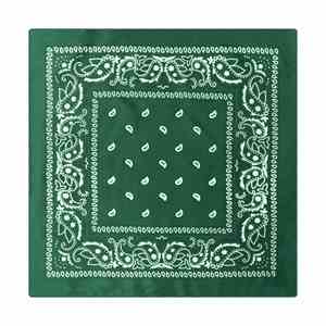 Bandanas Personalizadas con Estampado, Conjuntos a Juego para Perros y Gatos, Ideales para Paseos, Salidas al Parque y Diversión - Product Image 2