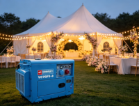 Générateur électrique diesel silencieux 6,5 kW, portable, 7,5 kW max, démarrage électrique, AVR, réservoir 25 L, 230 V, 400 V, 50 Hz, 1800 tr/min