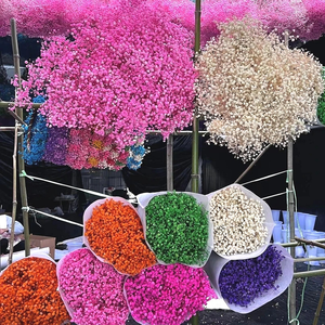 Bouquet di Fiori Secchi di Gypsophila, Piante Naturali Conservate per Matrimoni, Feste, Decorazioni Fai-da-Te in Stile Boho per la Casa - Product Image 1