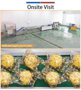 Customized Pineapple <b>Food</b> <b>Line</b> Pineapple Washing Peeling Cutting Drying Packing Machine for Pineapple <b>Process</b> Plant - Product Image 2