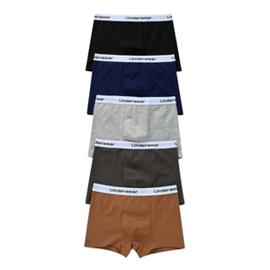 Offre Spéciale garçons sous-vêtements exportation qualité slips couleur unie confortable respirant fabriqué au Vietnam à la mode mignon motif coton - Product Image 5