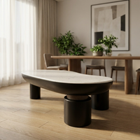 Ensemble de 2 tables basses gigognes contemporaines en MDF, grand format rectangulaire, durables, 140 cm x 50 cm, noires, pour salon