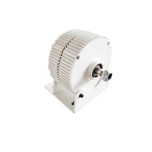 Alternateurs magnétiques triphasés à prix compétitif 300W 12/24V pour énergie éolienne et autres applications 300W - Product Image 3