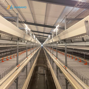 Attrezzatura per allevamento di pollame tipo H sistema automatico gabbia di pollo - Product Image 2