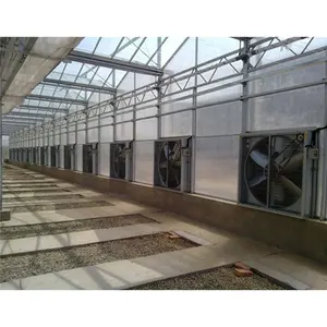 Geflügel-Überkühlsystem für Gewächshaus Verdampfungskühlung Pad/Feuchtigkeitsvorhang für Bauernhof/Überkühlung