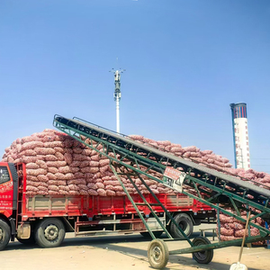 Cabeza <span class=keywords><strong>de</strong></span> <span class=keywords><strong>semilla</strong></span> <span class=keywords><strong>de</strong></span> <span class=keywords><strong>ajo</strong></span> fresco orgánico <span class=keywords><strong>de</strong></span> la mejor calidad, <span class=keywords><strong>ajo</strong></span> rojo blanco puro púrpura, Exportación <span class=keywords><strong>de</strong></span> 10kg 20kg, saco mayorista - Product Image 4