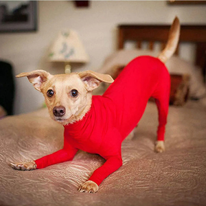Combinaison pour chien anti-chute de poils, apaisante pour l'anxiété, pour la maison, la voiture et les voyages, et pour la récupération post-chirurgicale - Product Image 6