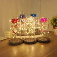 Rose LED sous Cloche en Verre, Fleur Artificielle Lumineuse, Cadeau Romantique pour la Saint-Valentin, Anniversaire, Vente en Gros