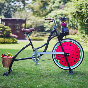 EXI pulgadas 26 equilibrio bicicletas publicidad <span class=keywords><strong>s</strong></span> bicicleta para adultos para playa crucero licuadora batido bicicletas con exprimidor de frutas bicicleta - Product Image 4