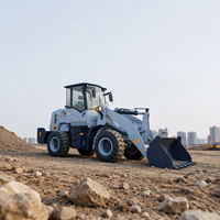 Chargeuse sur pneus d'occasion, chargeuse-pelleteuse 2 tonnes, chargeuse frontale, machine de chantier pour stockage de charbon, vente en gros, exportation directe, usage intensif