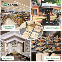 Assiettes jetables en bois de peuplier biodégradable certifiées FDA pour les fêtes aux marchés des États-Unis, de l'UE, d'Afrique et d'Asie du Sud-Est