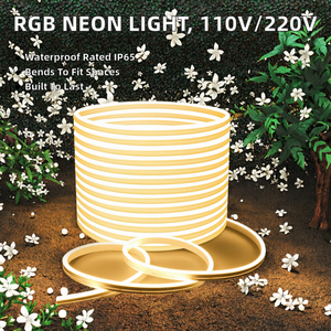 Tira de Luz LED de Neón Flexible de Silicona RGB de 220 V, IP65, Impermeable, Iluminación para Paisajes - Product Image 2