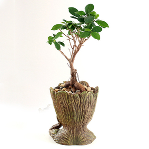 Hecho a mano decoración del hogar moderno diseño personalizado poliéster <span class=keywords><strong>groot</strong></span> pote de flor - Product Image 5