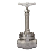 Vanne à soupape en acier inoxydable cryogénique avec longue tige PN40 DN50 extrémité de soudage contrôle manuel basse température OEM personnalisable