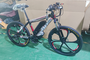 Disiyuan จักรยานไขมันตะเกียบจักรยานไฟฟ้า, จักรยานเสือภูเขา G300จักรยานวิบากน้ำหนักเบา - Product Image 3