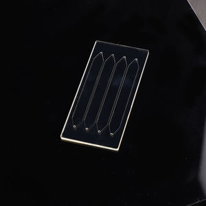 Puces et biopuces microfluidiques personnalisées - Product Image 1