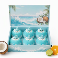 Ensemble de bombes de bain personnalisées artisanales naturelles à la noix de coco et aux agrumes, 6 pièces, 140g, bleu turquoise, hydratant botanique, OEM, marque privée