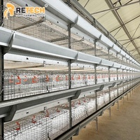 Équipement d'élevage de poulets de chair RETECH, cage pour poulets pondeurs, pour poussins d'un jour