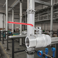 Fabricante 304 válvulas de bola de acero inoxidable para 1/2 \ "1000 WOG sistemas de tuberías de agua OEM personalizable