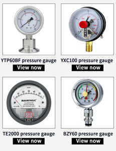 3 인치 풀 SS 케이스 다이어프램 캡슐 압력 게이지 2.5-100kpa 바이오 가스 압력 측정기 압력계 압력 - Product Image 6