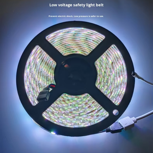 Ip65 Lớp 12VRGB Ánh Sáng Phát Ra Diode Thay Đổi Độ Sáng Linh Hoạt Với Điều Khiển Từ Xa PVC Dải Ánh Sáng Cho Trang Trí - Product Image 1