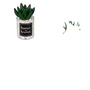 Mini combinaison de plantes en pot artificielles INS vent transfrontalier maison Simulation plante verte succulente petit bonsaï - Product Image 4